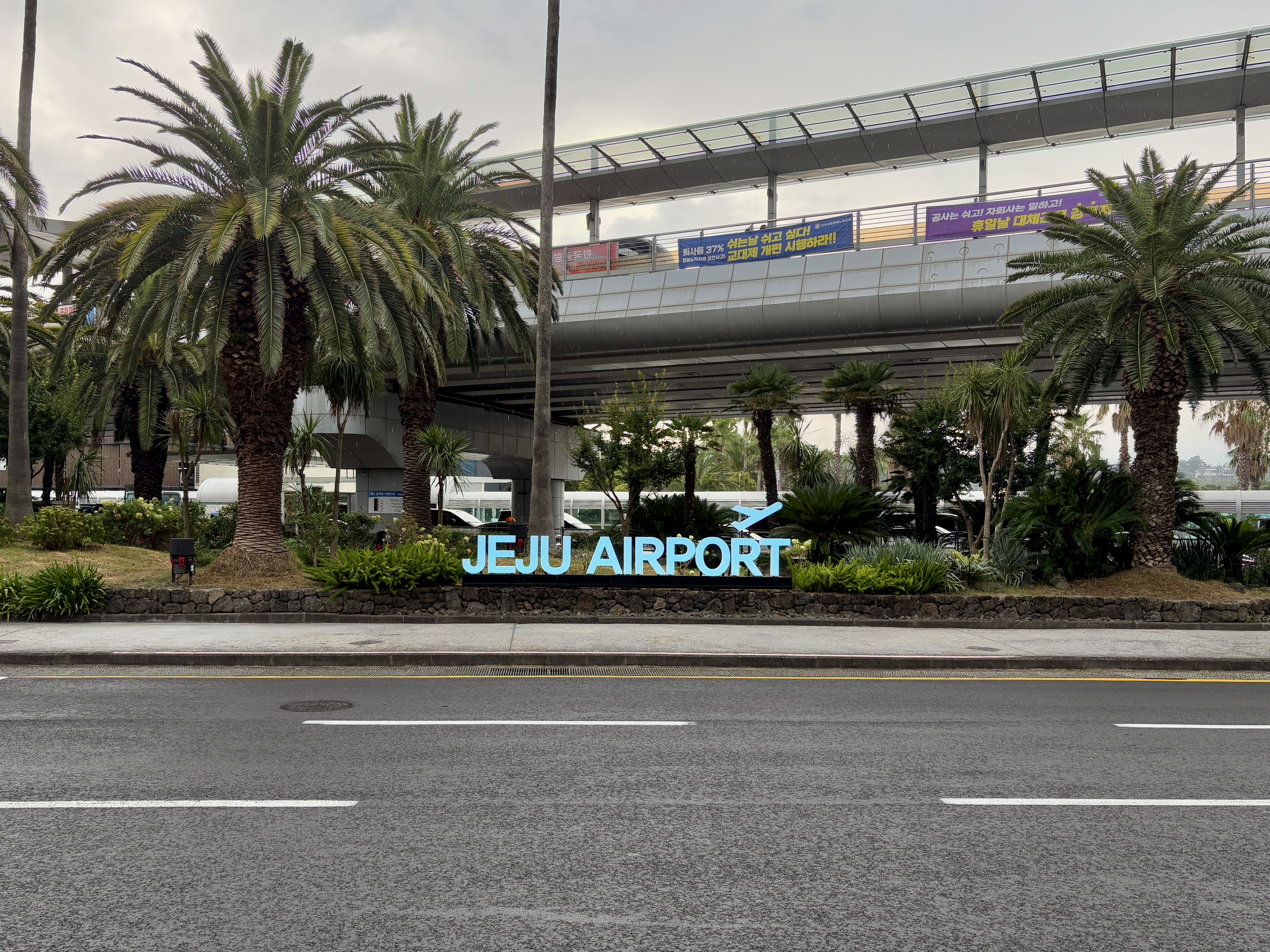 How to Go to Jeju from Seoul | Complete Gimpo Airport & Jeju Airport Guide